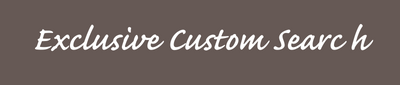 Custom Search